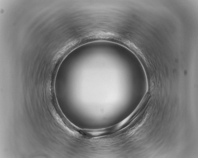 X0000060810581200511141508