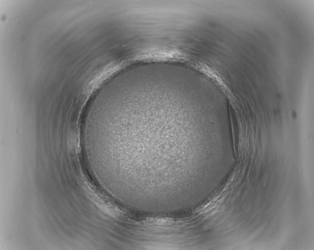 X0000060810582200511141508