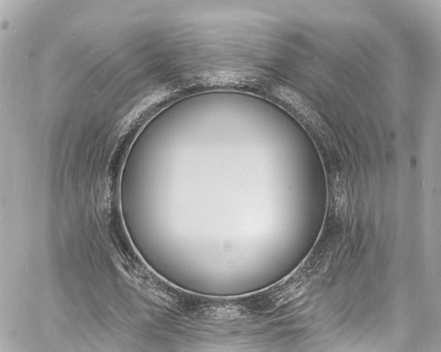 X0000060810583200511141508