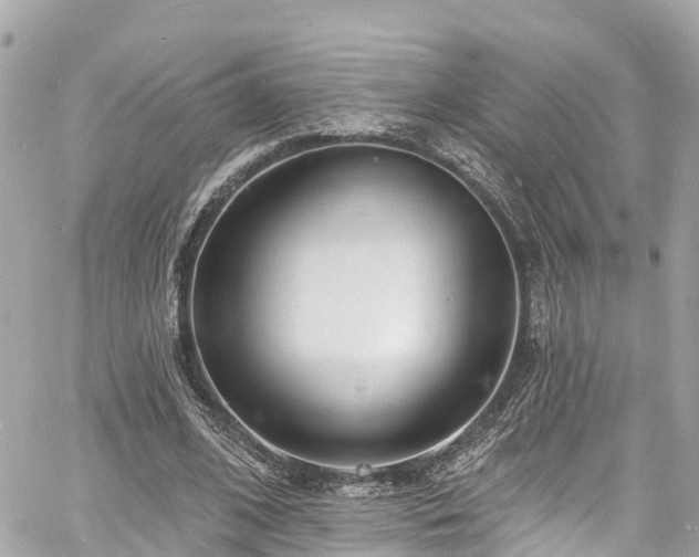 X0000060810584200511141508