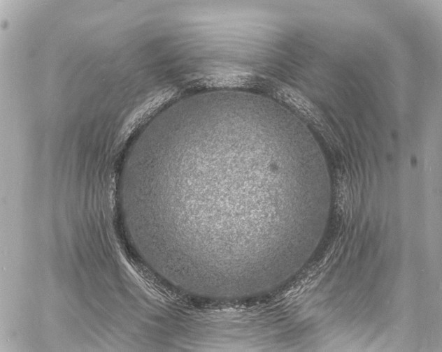 X0000060810586200511141508