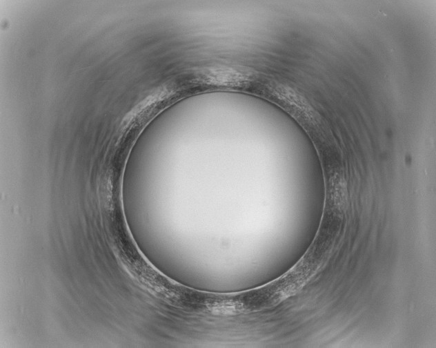 X0000060810587200511141508