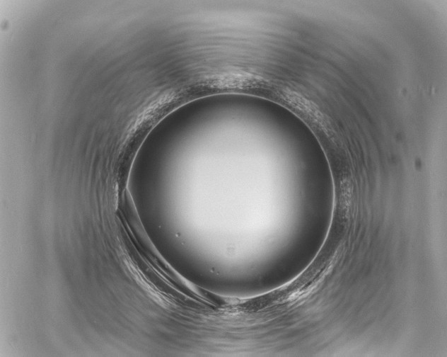 X0000060810589200511141508