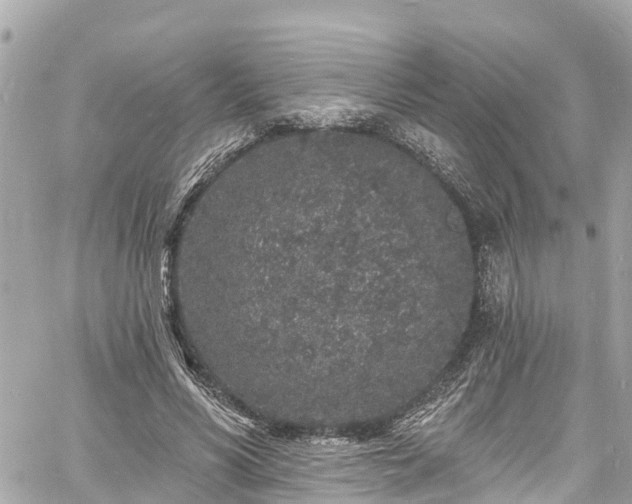 X0000060810590200511141508