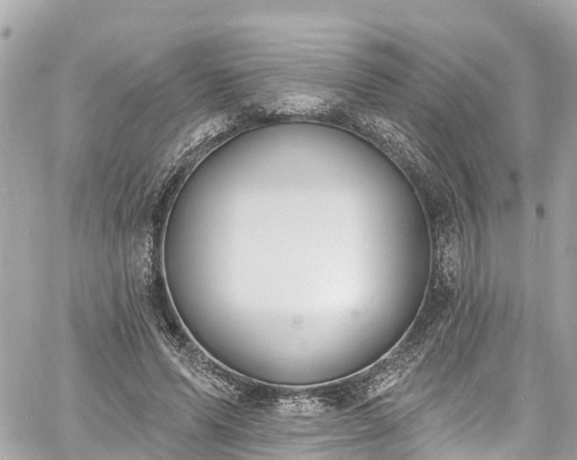 X0000060810591200511141508