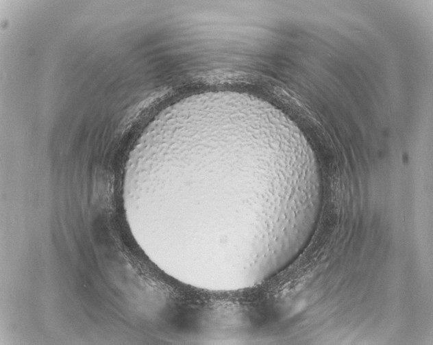 X0000060810592200511141508