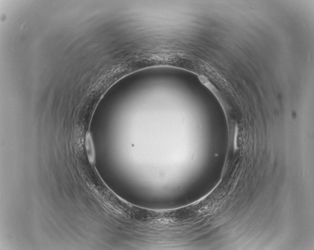 X0000060810593200511141508