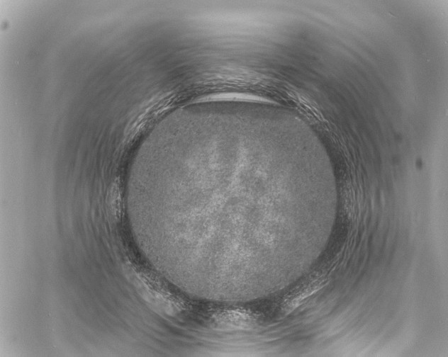 X0000060810594200511141508