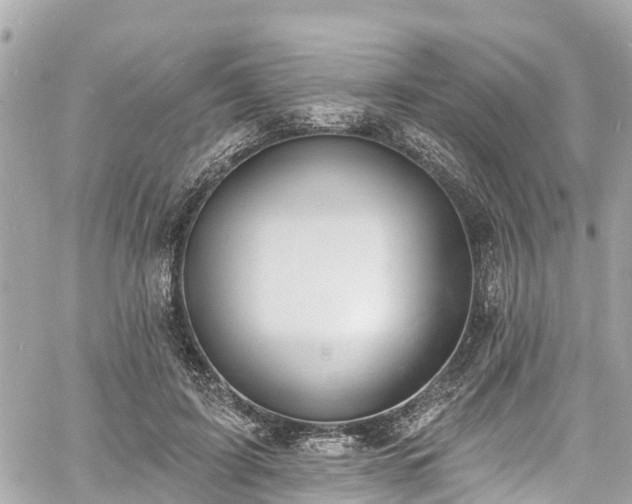 X0000060810595200511141508