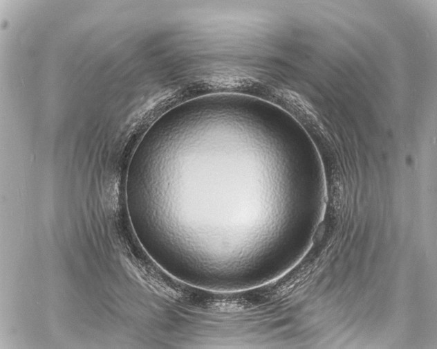 X0000060810596200511141508