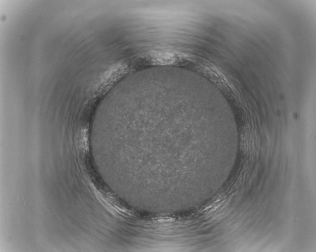 X0000060810598200511141508