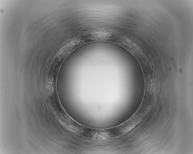 X0000060810599200511141508