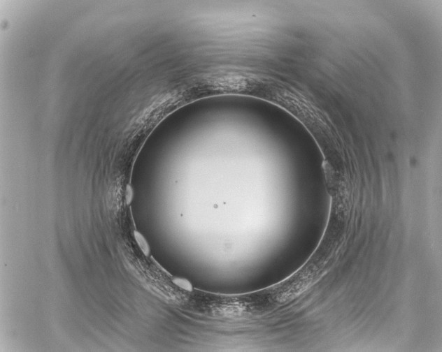 X0000060810600200511141508