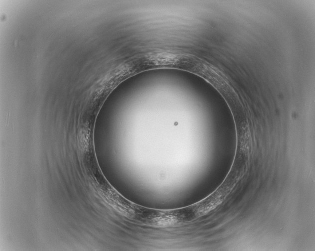 X0000060810604200511141508