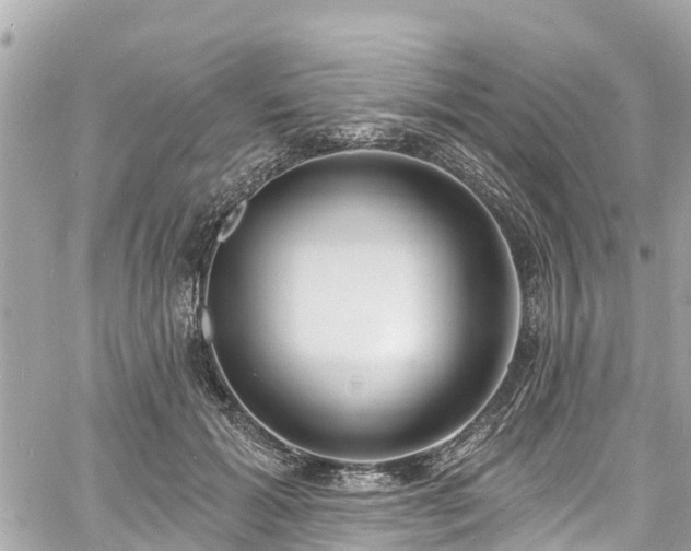 X0000060810605200511141508