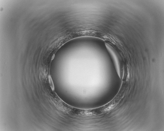 X0000060810607200511141508