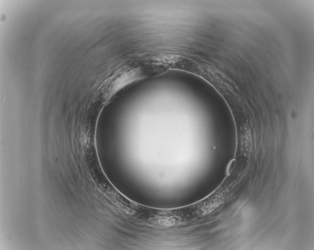 X0000060810608200511141508