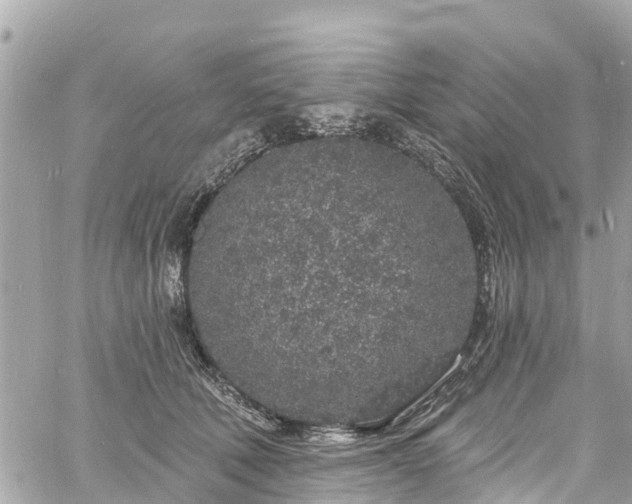 X0000060810610200511141508