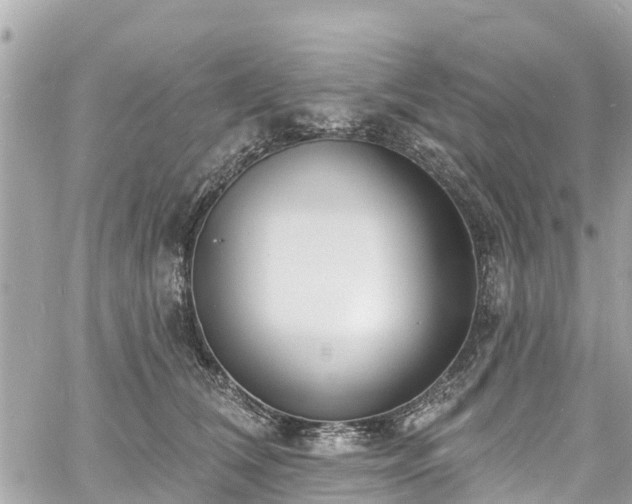 X0000060810612200511141508