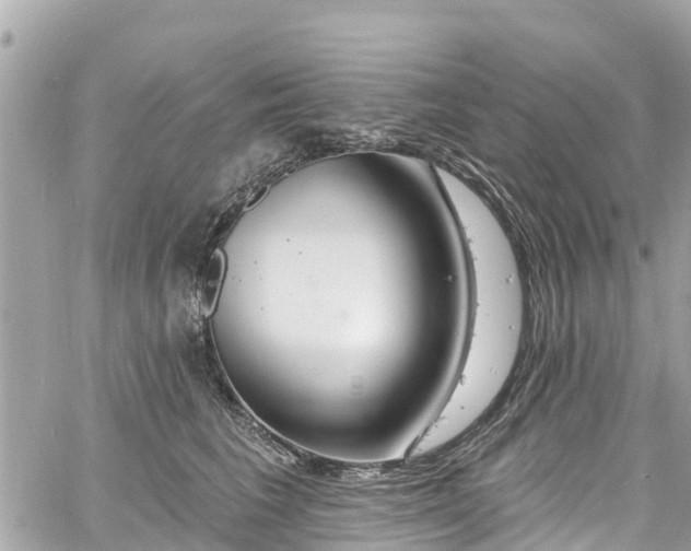 X0000060810613200511141508