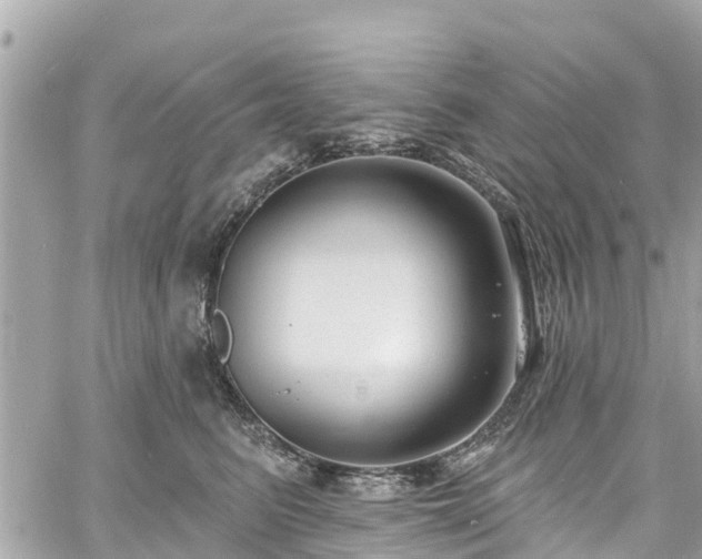 X0000060810615200511141508