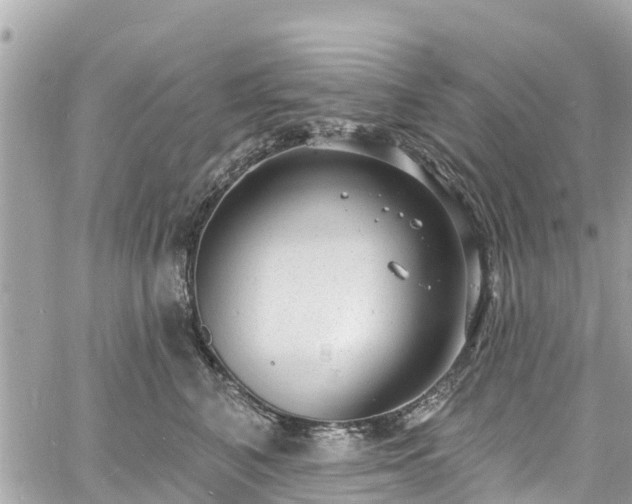 X0000060810616200511141508