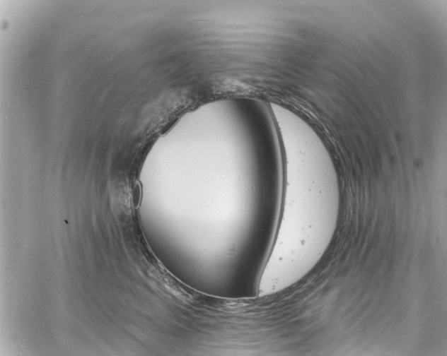 X0000060810617200511141508