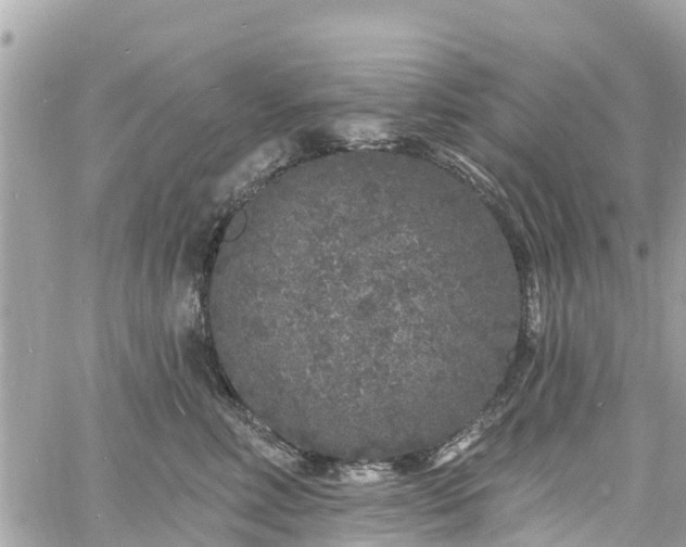 X0000060810618200511141508