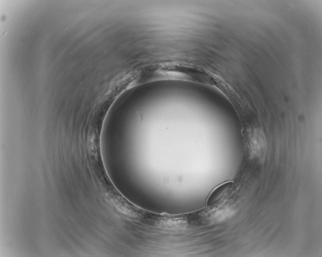 X0000060810619200511141508