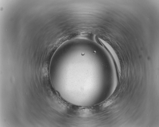 X0000060810620200511141508