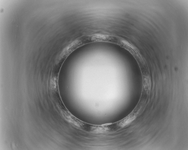 X0000060810621200511141508