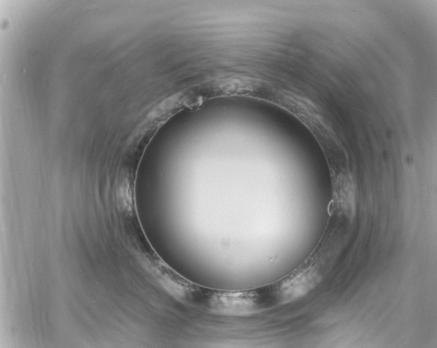 X0000060810622200511141508