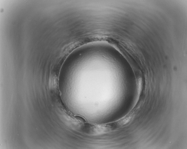 X0000060810623200511141508