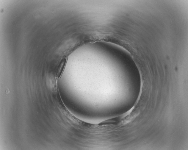 X0000060810624200511141508