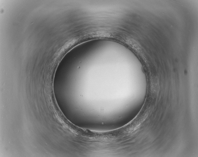 X0000060810625200511141507