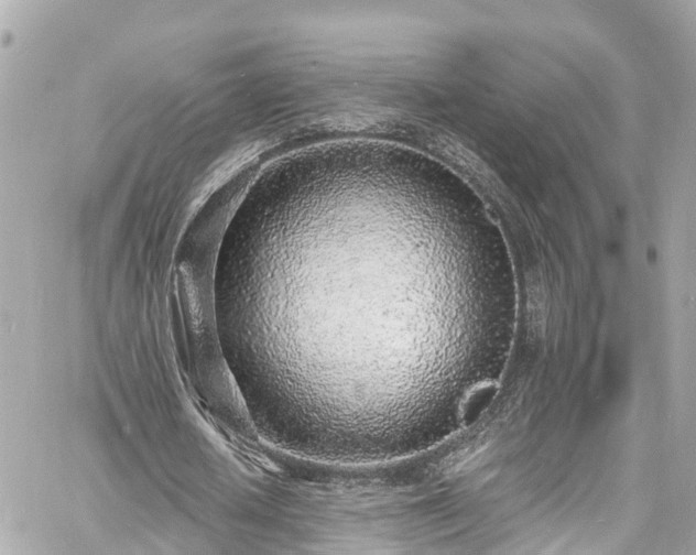 X0000060810626200511141507