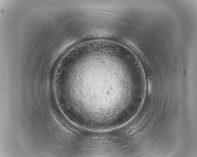 X0000060810627200511141507