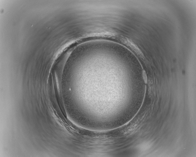 X0000060810628200511141507