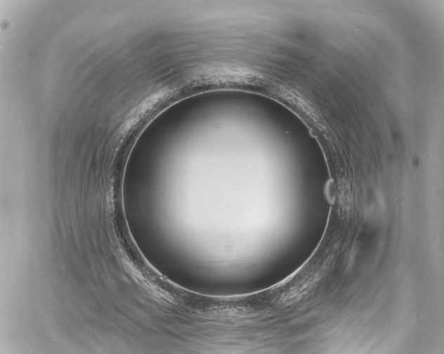 X0000060810629200511141507