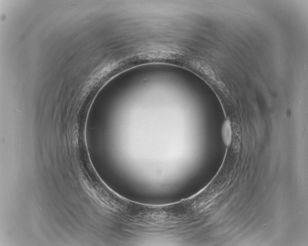 X0000060810631200511141507