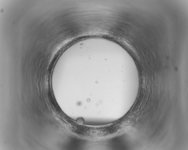 X0000060810632200511141507