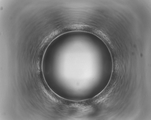 X0000060810633200511141507