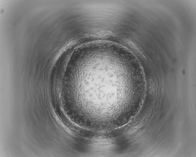 X0000060810634200511141507