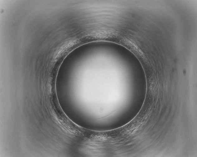 X0000060810635200511141507