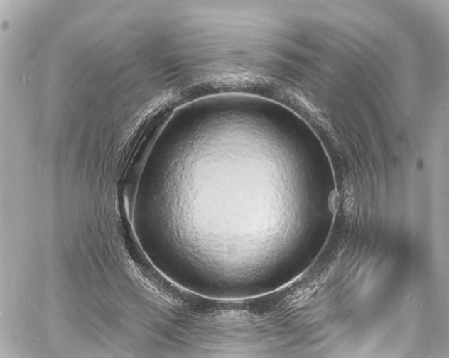 X0000060810637200511141507