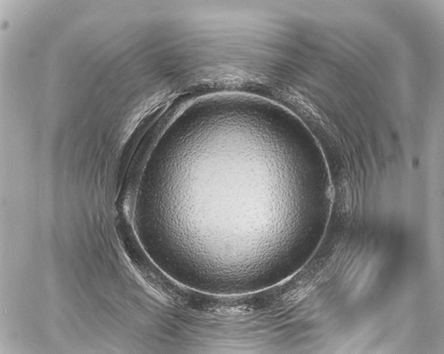 X0000060810638200511141507