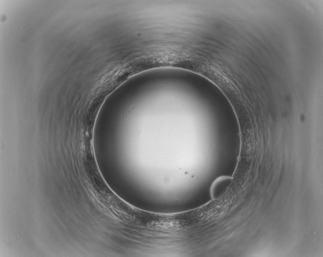 X0000060810639200511141507