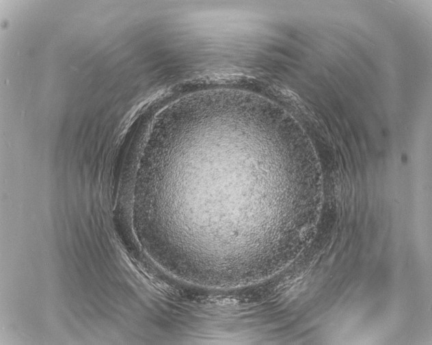 X0000060810640200511141507