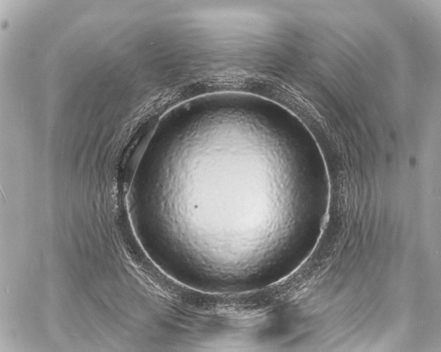 X0000060810641200511141507