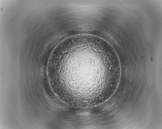 X0000060810643200511141507